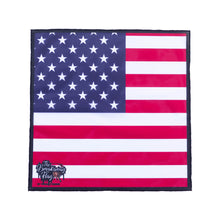 Load image into Gallery viewer, American Flag Breakaway Flag (College/Open/Pro)