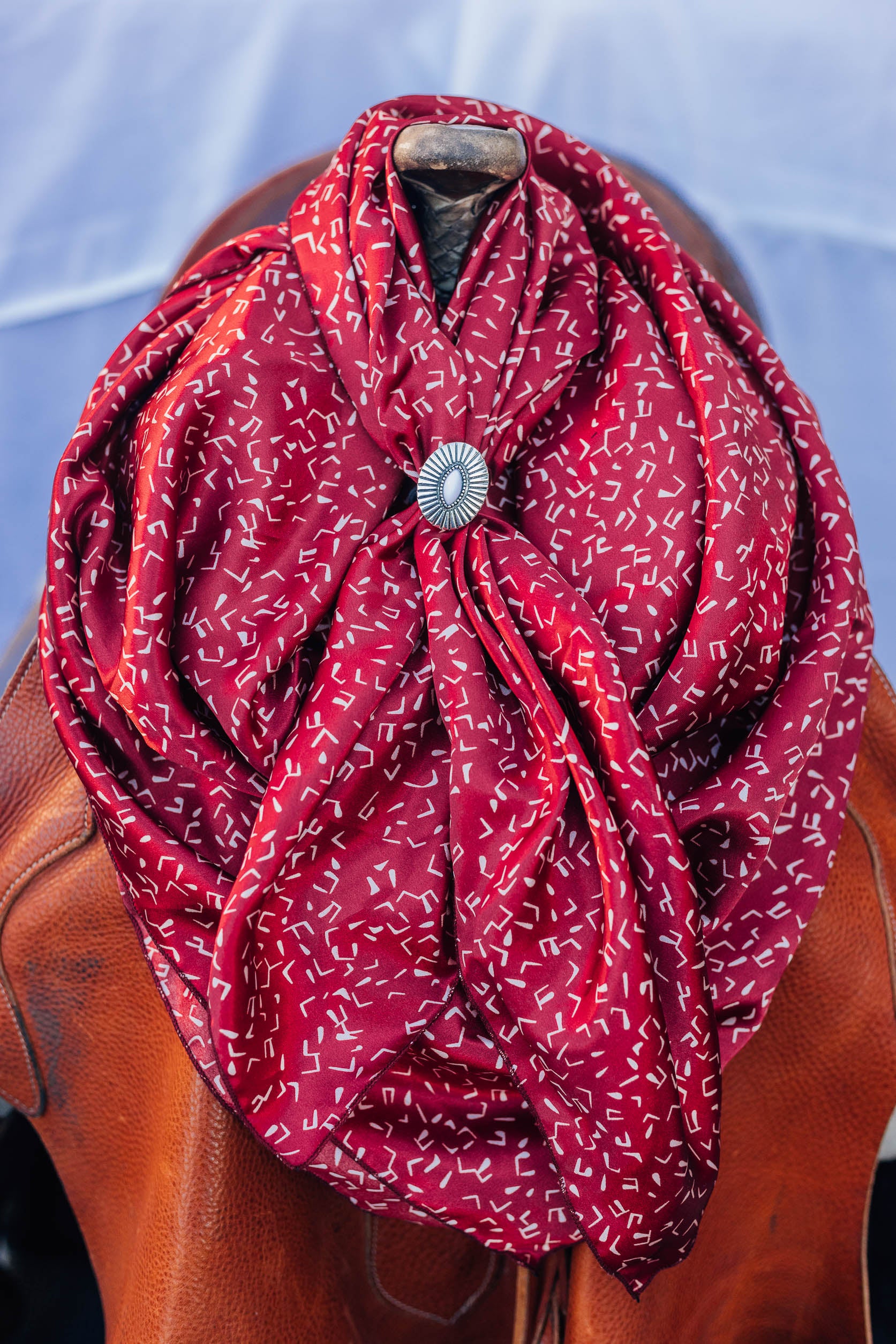 Red Zag Wild Rag – ProRate Equine