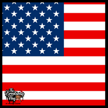 Load image into Gallery viewer, American Flag Breakaway Flag (College/Open/Pro)
