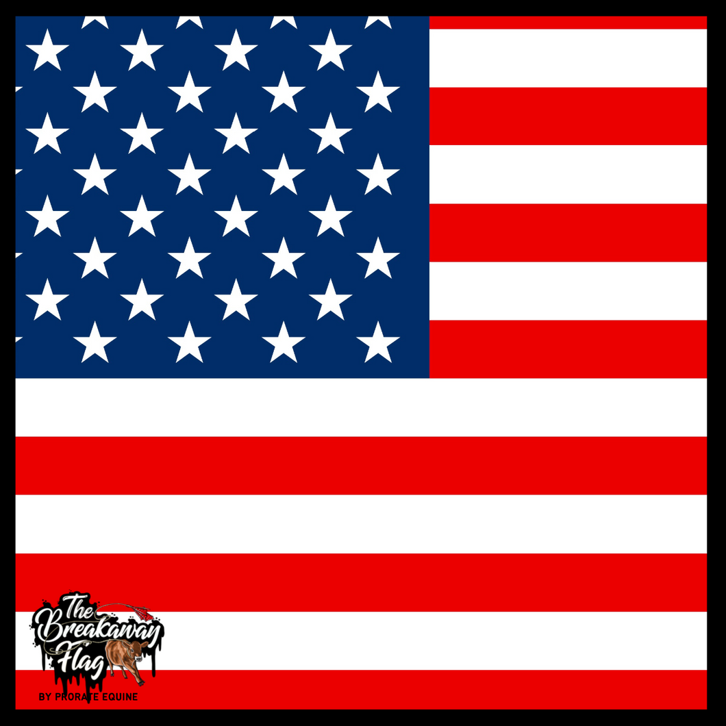 American Flag Breakaway Flag (College/Open/Pro)