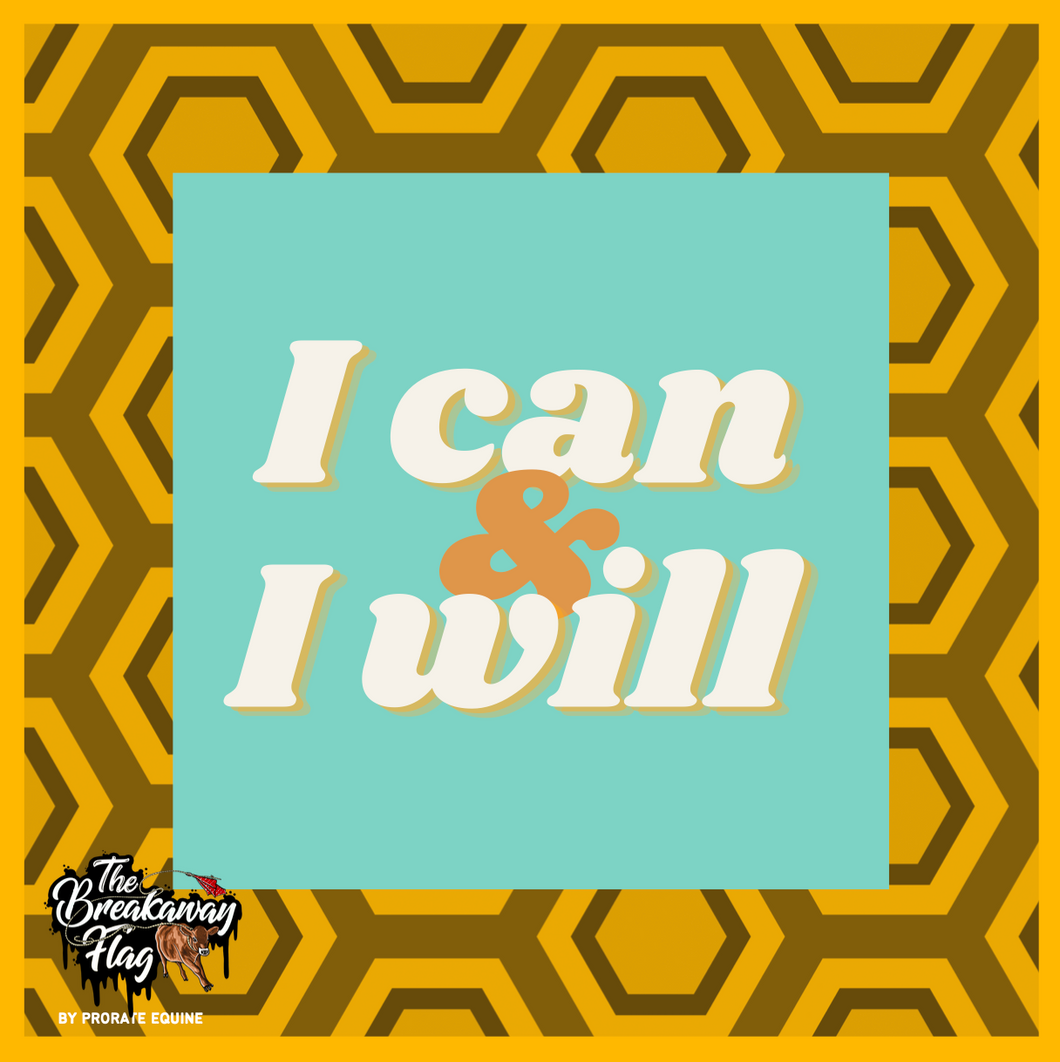 CLEARANCE - I Can & Will - Gold Breakaway Flag (College/Open/Pro)
