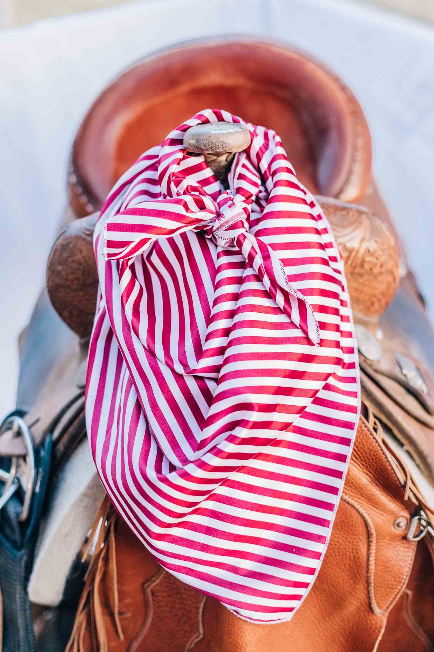 Mulberry Stripe Wild Rag – ProRate Equine